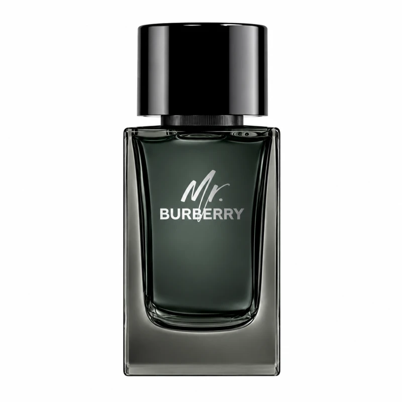 Burberry Mr. Burberry EDP 100ML For Men